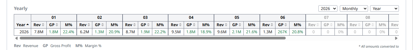 P&L Overview — yearly KPIs